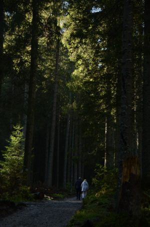 Fotoaktywni 15